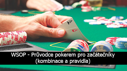 Průvodce hraním pokeru